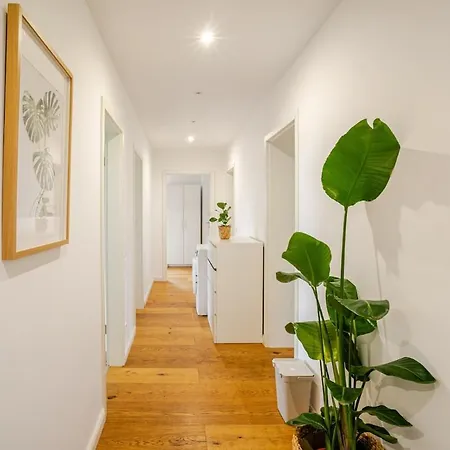 Gemuetliche Grosse 公寓